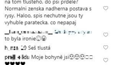 Ošklivé komentáře hejtrů. Ošklivé komentáře hejtrů.