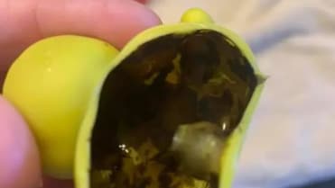 Plesnivé dětské hračky určené do vody 1 Plesnivé dětské hračky určené do vody 1