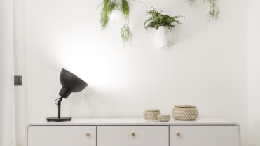 Nad skříňku designéři umístili pokojové květiny Nad skříňku designéři umístili pokojové květiny
