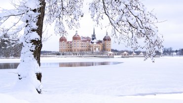 Zámek Moritzburg v zimě, jak ho známe z pohádky Zámek Moritzburg v zimě, jak ho známe z pohádky