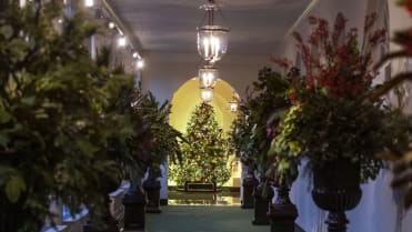 Chodbu zaplnily vázy s rostlinami z padesáti amerických států Chodbu zaplnily vázy s rostlinami z padesáti amerických států