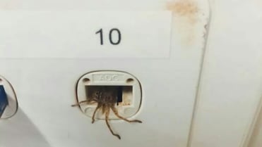 8. místo 8. místo