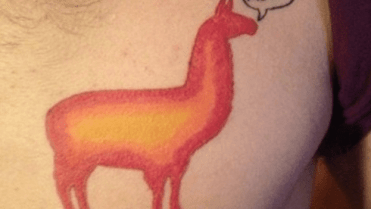 Lama na břiše – fakt úlet! Lama na břiše – fakt úlet!