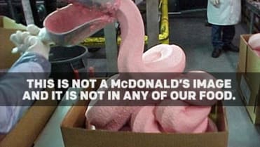 McDonald chtěl vyvrátit to, že dělá jídlo z takovéto pasty McDonald chtěl vyvrátit to, že dělá jídlo z takovéto pasty