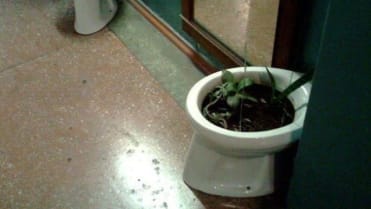 Tomu se říká recyklování v Rusku. Tomu se říká recyklování v Rusku.