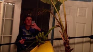 Bizarní galerie selfies - Je tohle vůbec možné? - Obrázek 3 Bizarní galerie selfies - Je tohle vůbec možné? - Obrázek 3
