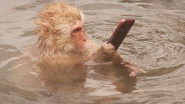 Bizarní galerie selfies - Je tohle vůbec možné? - Obrázek 12 Bizarní galerie selfies - Je tohle vůbec možné? - Obrázek 12