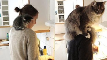Tak jde čas s našimi zvířecími kamarády - Obrázek 14 Tak jde čas s našimi zvířecími kamarády - Obrázek 14