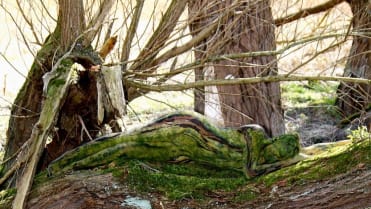 Nature art - Obrázek 3 Nature art - Obrázek 3
