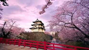 V Japonsku se líbání považuje za předehru k sexu, a tak jsou polibky na veřejnosti přísně zakázány V Japonsku se líbání považuje za předehru k sexu, a tak jsou polibky na veřejnosti přísně zakázány
