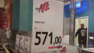 Chudák uhořel živý Chudák uhořel živý