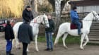 Projede se i Pepa Krupička Projede se i Pepa Krupička