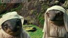 Nové fotky z filmu Star Wars: Poslední z Jediů 1 Nové fotky z filmu Star Wars: Poslední z Jediů 1