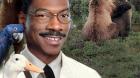 Záběry z filmu Dr. Dolittle - v hlavní roli Eddie Murphy Záběry z filmu Dr. Dolittle - v hlavní roli Eddie Murphy