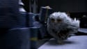 "Demiguise" - Tihle chlupatí nezbedové jsou v magickém světě velice vzácní, jejich kožešina navíc poskytuje neviditelnost, když už je tedy někdo zahlédne, pravděpodobně to není na dlouho. "Demiguise" - Tihle chlupatí nezbedové jsou v magickém světě velice vzácní, jejich kožešina navíc poskytuje neviditelnost, když už je tedy někdo zahlédne, pravděpodobně to není na dlouho.