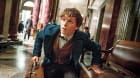 Mlok Scamander v americké obdobě Ministerstva kouzel Mlok Scamander v americké obdobě Ministerstva kouzel