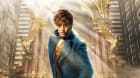 Eddie Redmayne jako Mlok Scamander Eddie Redmayne jako Mlok Scamander