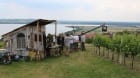 Natáčelo se v Pavlově na vinicích Natáčelo se v Pavlově na vinicích