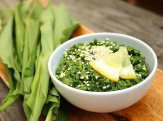 Domácí pesto z medvědího česneku Domácí pesto z medvědího česneku