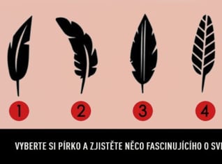 Vyberte si peříčko a odhalte o sobě fascinující věc Vyberte si peříčko a odhalte o sobě fascinující věc