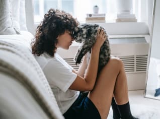 Toxoplazmóza kočičí prokletí Toxoplazmóza kočičí prokletí