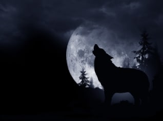 Co přinese lednový úplněk ve znamení Raka? Připravte se na velké výkyvy nálad a buďte s rodinou Co přinese lednový úplněk ve znamení Raka? Připravte se na velké výkyvy nálad a buďte s rodinou