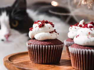 Red velvet cupcakes s vanilkovým krémem podle Cat & Cook Red velvet cupcakes s vanilkovým krémem podle Cat & Cook