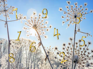 Leden podle numerologie Leden podle numerologie