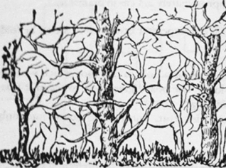 Test osobnosti Test osobnosti