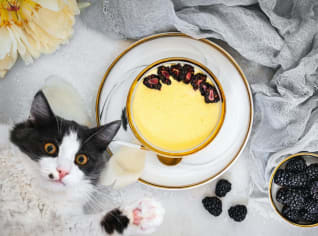 Domácí vanilkový pudink podle Cat & Cook Domácí vanilkový pudink podle Cat & Cook