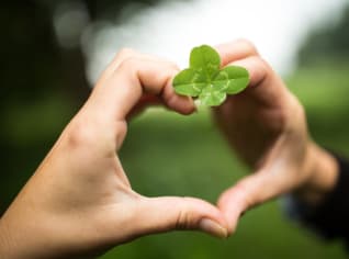Čtyřlístek přivolává nejen štěstí, ale i lásku Čtyřlístek přivolává nejen štěstí, ale i lásku