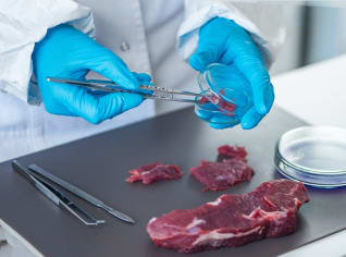 Diagnóza salmonela: Kdo je nejvíc ohrožen a jak se účinně bránit Diagnóza salmonela: Kdo je nejvíc ohrožen a jak se účinně bránit