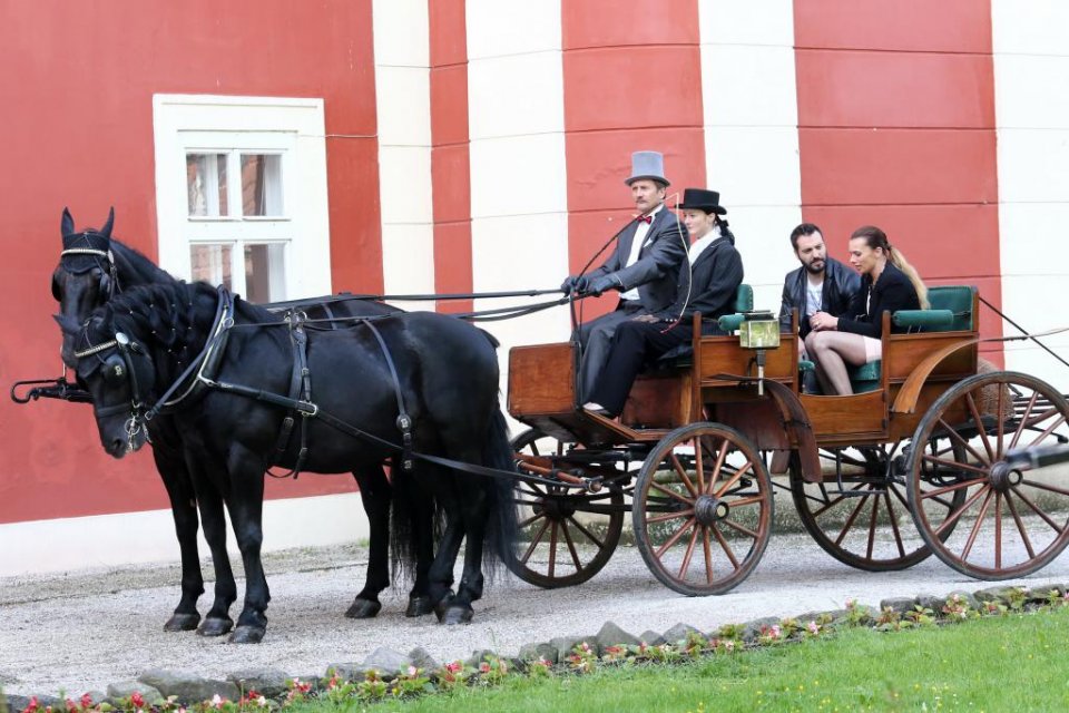 Na svatbě nesmí chybět ani kočár s koňmi Na svatbě nesmí chybět ani kočár s koňmi