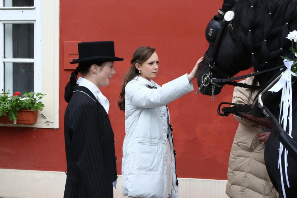 Gabriela Heclová s koňmi Gabriela Heclová s koňmi