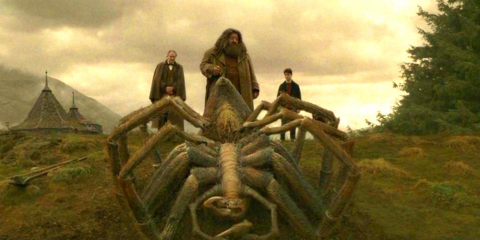 "Acromantula" - Tyhle pavoučí potvory dorůstají obřích rozměrů a rozhodně se o nich nedá říct, že by se živili pouze menším hmyzem. "Acromantula" - Tyhle pavoučí potvory dorůstají obřích rozměrů a rozhodně se o nich nedá říct, že by se živili pouze menším hmyzem.