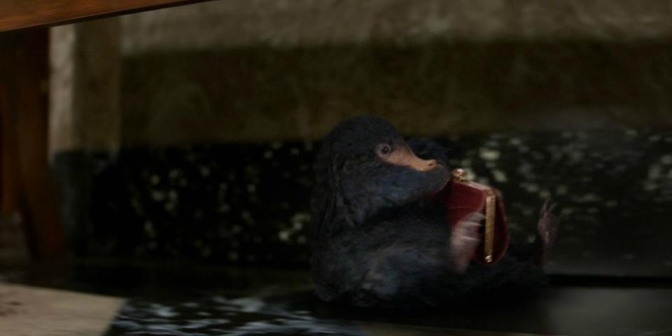 "Niffler" - Stejně jako křečci mohou tyhle malé potvory ukrývat předměty do své břišní kapsy. Na rozdíl od křečků je ta jejich ale nekonečně velká. Zároveň se jedná o výborné lovce pokladů, jelikož jsou posedlí vším, co se leskne. "Niffler" - Stejně jako křečci mohou tyhle malé potvory ukrývat předměty do své břišní kapsy. Na rozdíl od křečků je ta jejich ale nekonečně velká. Zároveň se jedná o výborné lovce pokladů, jelikož jsou posedlí vším, co se leskne.