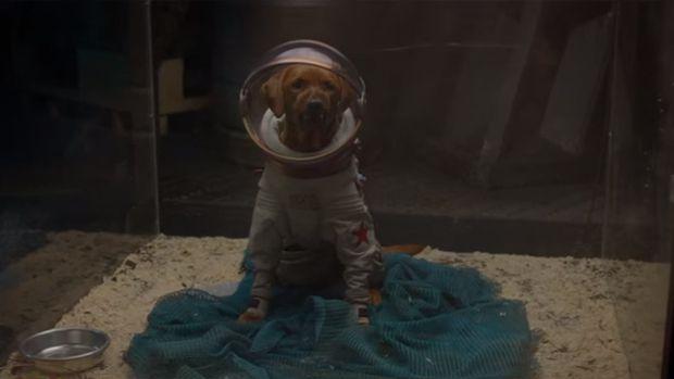 Sběratel měl ve svém muzeu ve filmu Strážci galaxie plno zajímavých věcí, mezi ty nejzajímavější ale určitě patřily postavy Kačera Howarda ze stejnojmenného filmu z roku 1986 a poté pes ve skafandru. Ten se jmenuje Cosmo a v komiksech je členem Strážců. Sběratel měl ve svém muzeu ve filmu Strážci galaxie plno zajímavých věcí, mezi ty nejzajímavější ale určitě patřily postavy Kačera Howarda ze stejnojmenného filmu z roku 1986 a poté pes ve skafandru. Ten se jmenuje Cosmo a v komiksech je členem Strážců.