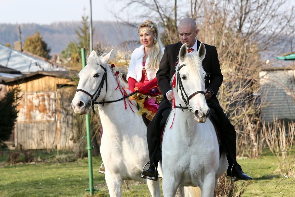 Pátkovi se bude na koni líbit o dost méně Pátkovi se bude na koni líbit o dost méně