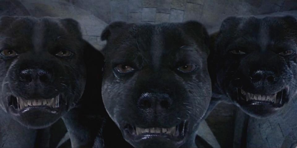 "Cerberus" - Na trojhlavého psa z prvního filmu Harry Potter a Kámen mudrců si jistě vzpomínáte, Hagrid ho tehdy pořídil od nějakého Řeka. Což je příhodné, protože podle řecké mytologie právě takový tříhlavý pes střeží bránu do Podsvětí. "Cerberus" - Na trojhlavého psa z prvního filmu Harry Potter a Kámen mudrců si jistě vzpomínáte, Hagrid ho tehdy pořídil od nějakého Řeka. Což je příhodné, protože podle řecké mytologie právě takový tříhlavý pes střeží bránu do Podsvětí.