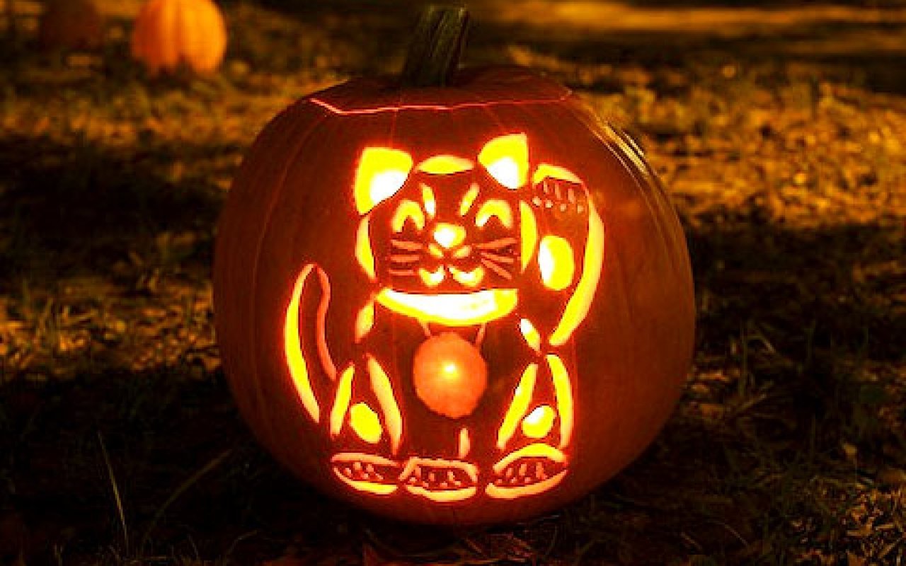 Všechny halloweenské dýně nemusí být jenom strašidelné. Všechny halloweenské dýně nemusí být jenom strašidelné.
