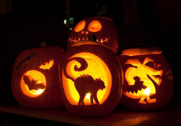 A něco k halloweenské tématice: netopýři a naježená kočka. A něco k halloweenské tématice: netopýři a naježená kočka.