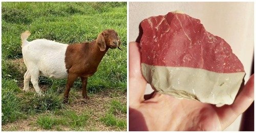 Když si příroda hraje s barvami. Když si příroda hraje s barvami.