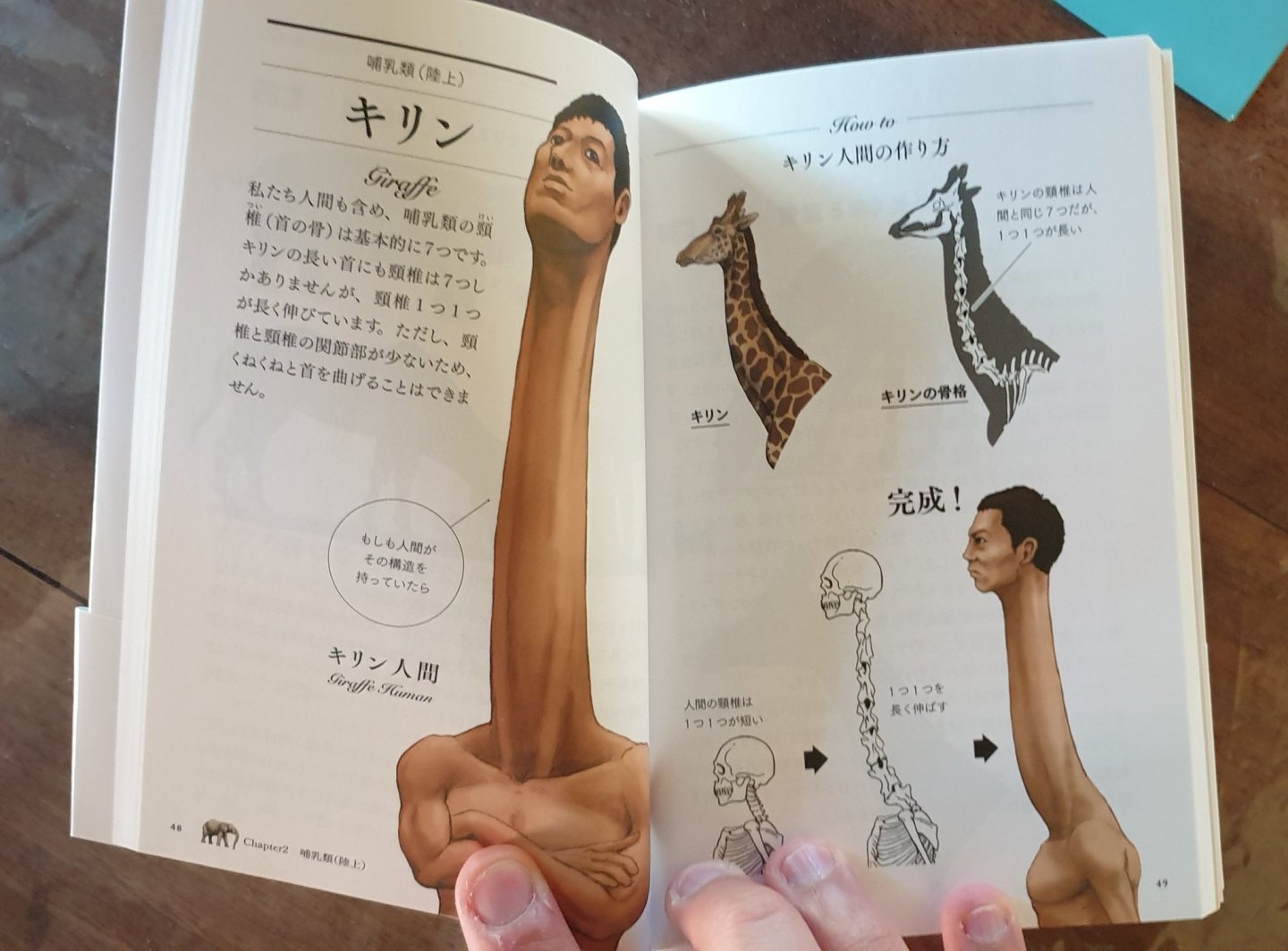 Práce Satoshiho Kawasakiho Práce Satoshiho Kawasakiho