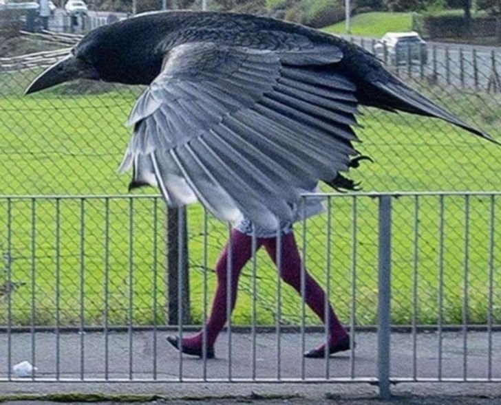 Fotografie na které se musíte podívat dvakrát Fotografie na které se musíte podívat dvakrát