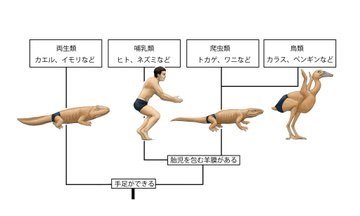 Práce Satoshiho Kawasakiho Práce Satoshiho Kawasakiho