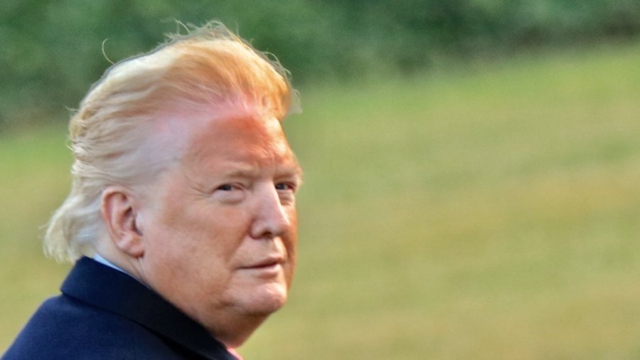 Donald Trump na deset způsobů Donald Trump na deset způsobů