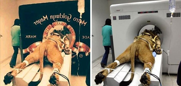 Neskákejte na špek Neskákejte na špek