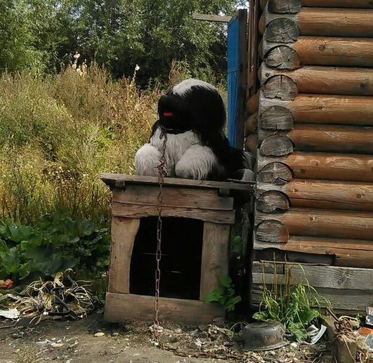 Když nemáte hlídacího psa, stačí plyšový! Když nemáte hlídacího psa, stačí plyšový!