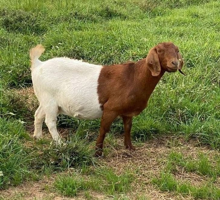 Když si příroda hraje s barvami. Když si příroda hraje s barvami.