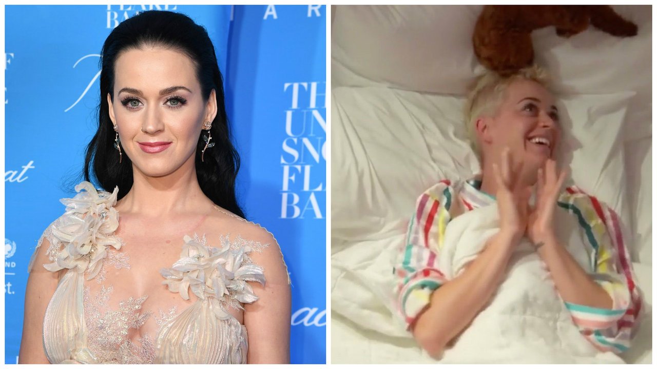 Katy Perry. Katy Perry.